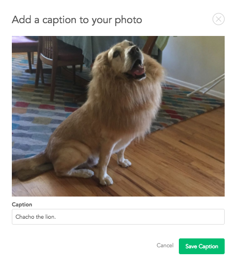 Add_caption_to_your_photo.png
