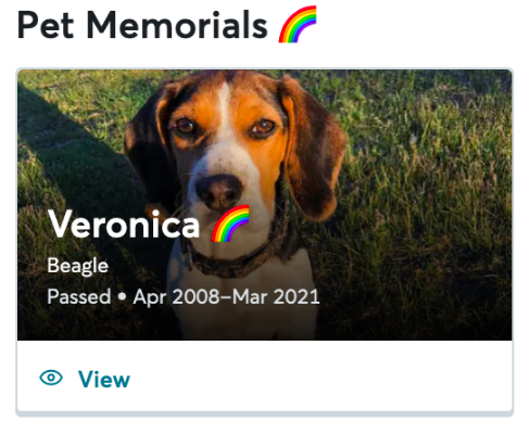 Profil commémoratif d'un animal de compagnie avec un badge arc-en-ciel.